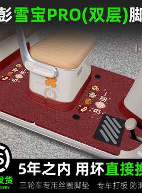 金彭鹏雪宝PRO碟刹款三轮车脚垫JP1000DZK-4P脚踏垫装饰改造配件