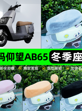 适用爱玛引擎MAX仰望AB65A715电动车冬座套坐垫套座位防水防晒饰