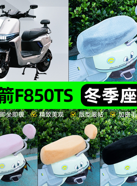 适用金箭F850TS电瓶电动车冬座套坐垫套座位防雨罩防水防晒饰配件