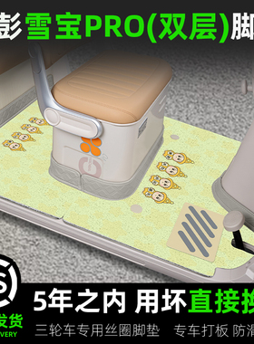 金彭鹏雪宝PRO碟刹款三轮车脚垫JP1000DZK-4P脚踏垫装饰改造配件