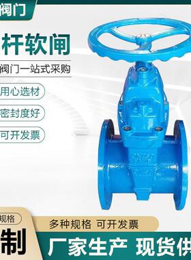 暗杆软闸软密封闸阀Z45XDN250法兰弹性座密封闸自来水闸阀厂家售