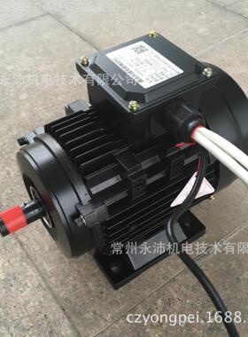 刷机直流电2V5.5W YP100系|永7磁无刷直流电无机 直流永磁电动机