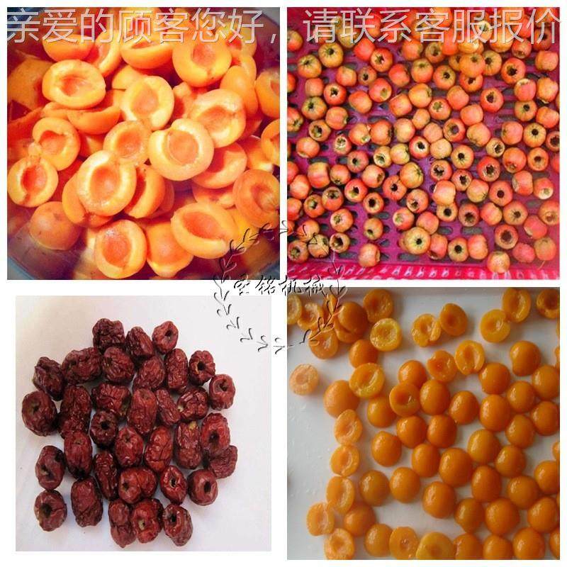 商用黄去苹核桃切瓣机 双头转盘式果捅芯机 气DZW杏动子李子捅核