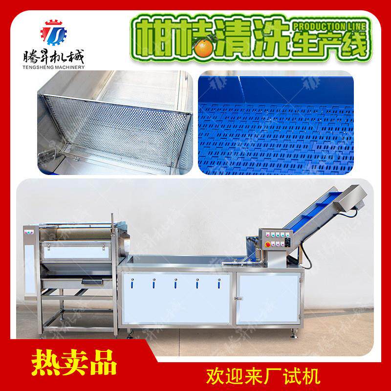 生产线 柑桔橘子加工设备  零食加工设备 柑桔清洗 农业设备