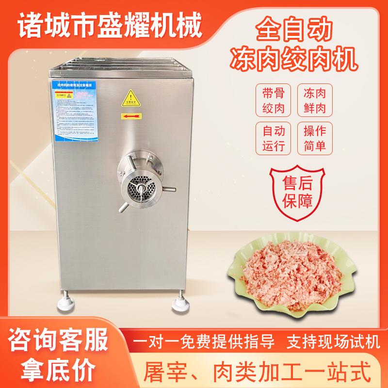 大孔板红肠肉馅绞肉机 120型糍粑糕绞肉机 冻鱼绞肉泥机器盛耀