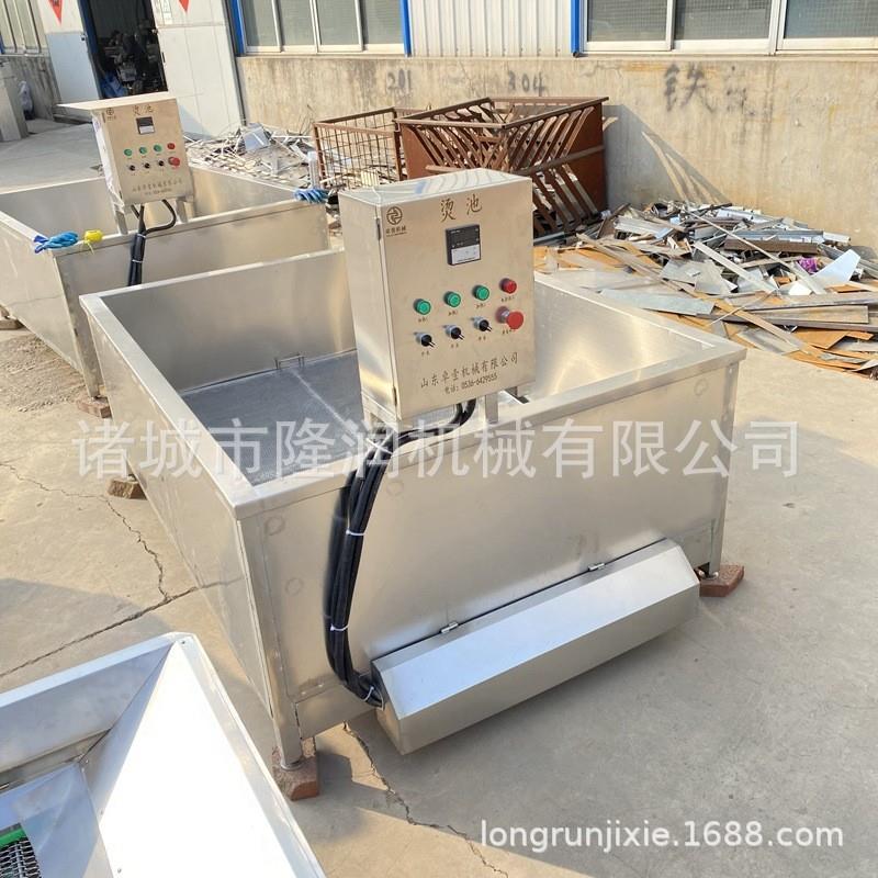 厂家供货电加热恒温烫毛池 全自动不锈钢浸烫毛机 家畜屠宰浸烫池