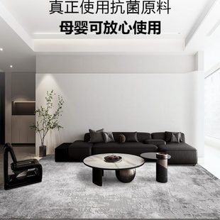 轻奢高级灰色地毯客厅高级感床边毯现代简约耐脏2023新款 柏格意式