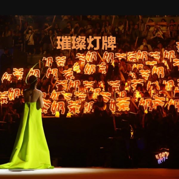 刘若英应援灯牌周边定制飞行日演唱会应援发光灯牌发箍手灯超薄