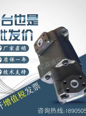 凯嘉KCL叶片泵KT6D-014/017/020/024/028/031-1R00/02/03-B1