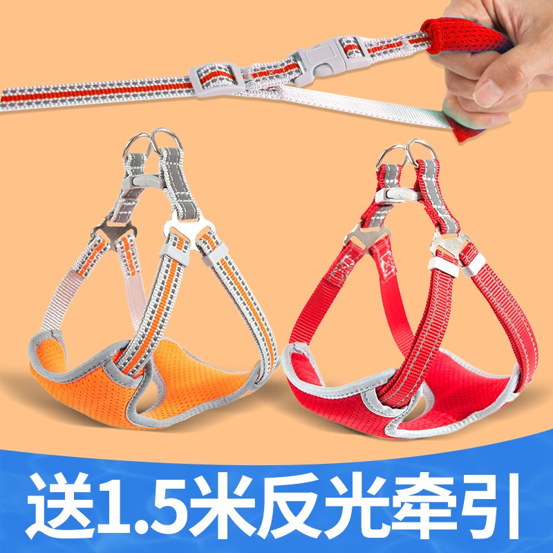 柏宠狗狗背心式胸背带牵引绳 小型犬比熊夜间反光遛狗绳子狗链子