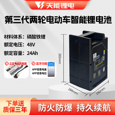 天能48V24A电动车智能锂电池