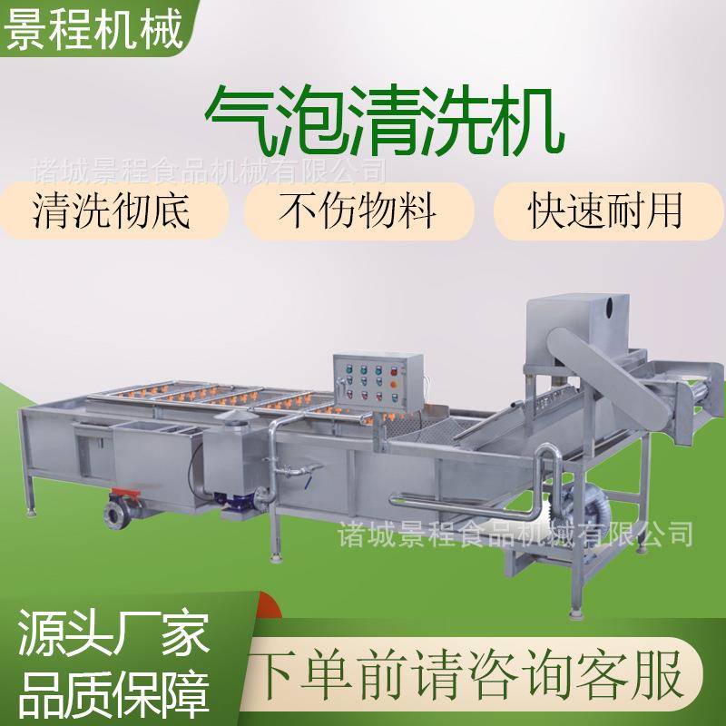 桂圆莲子清洗去杂设备柠檬气泡洗果机大型菌类清洗加工设备