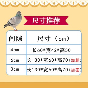 家用自动滚蛋特大号鸡笼鸡舍鸡笼子养殖笼运输加粗U鸭笼鹅笼鹌鹑