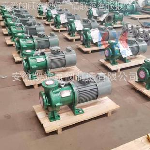 酸二甲酯输送 1320F碳钢衬四氟磁力泵TLC 高温磁力驱动 IM泵C40