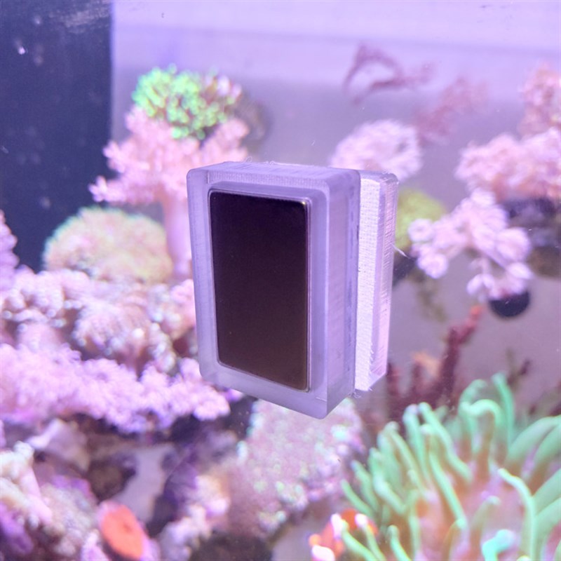 磁力刷小号迷你草鱼海缸刷强磁铁力刷强吸力擦除藻玻璃清洁工具刷