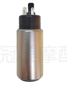 适用阿普利亚GPR250R GPR250S APRG250-R燃油泵 汽油泵芯 油泵电
