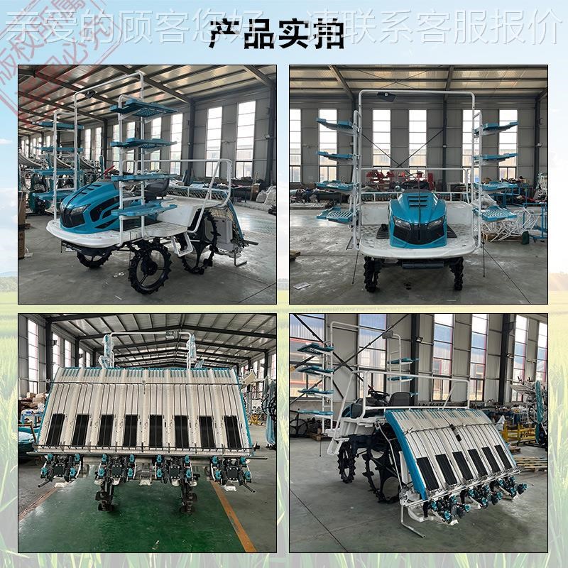 6行秧速水稻插LMG 乘坐式四轮高速插秧机 P全自动水稻插机秧高机