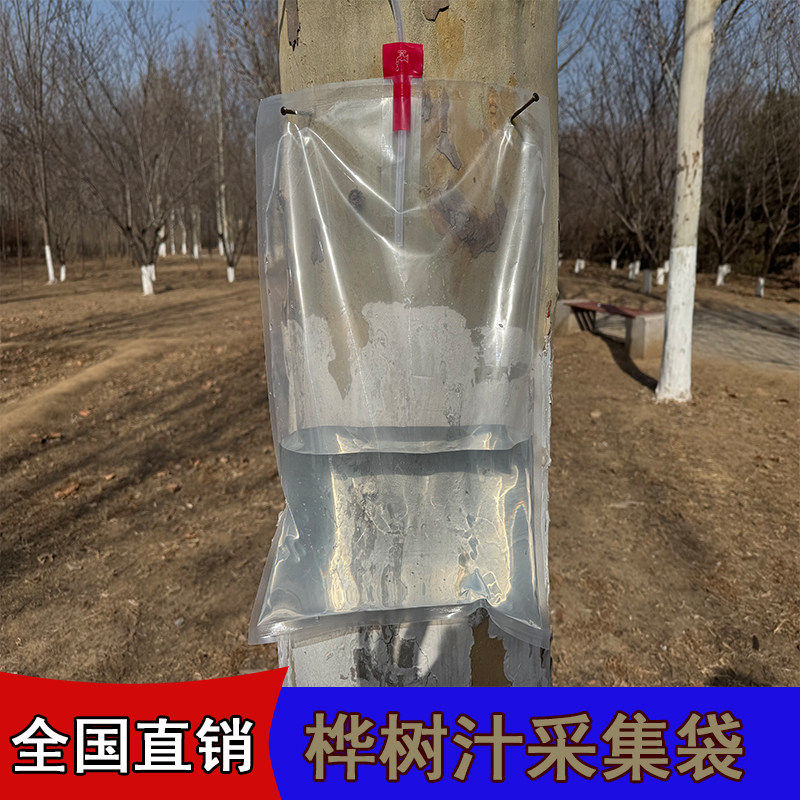 桦树汁采集袋植物液体提取包装袋加厚密封手提袋户外水质采样收集