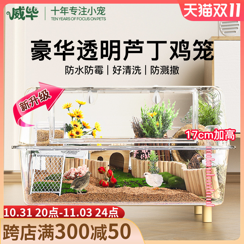 芦丁鸡饲养箱笼子大号亚克力透A明观赏卢丁室内保温全套造景专用