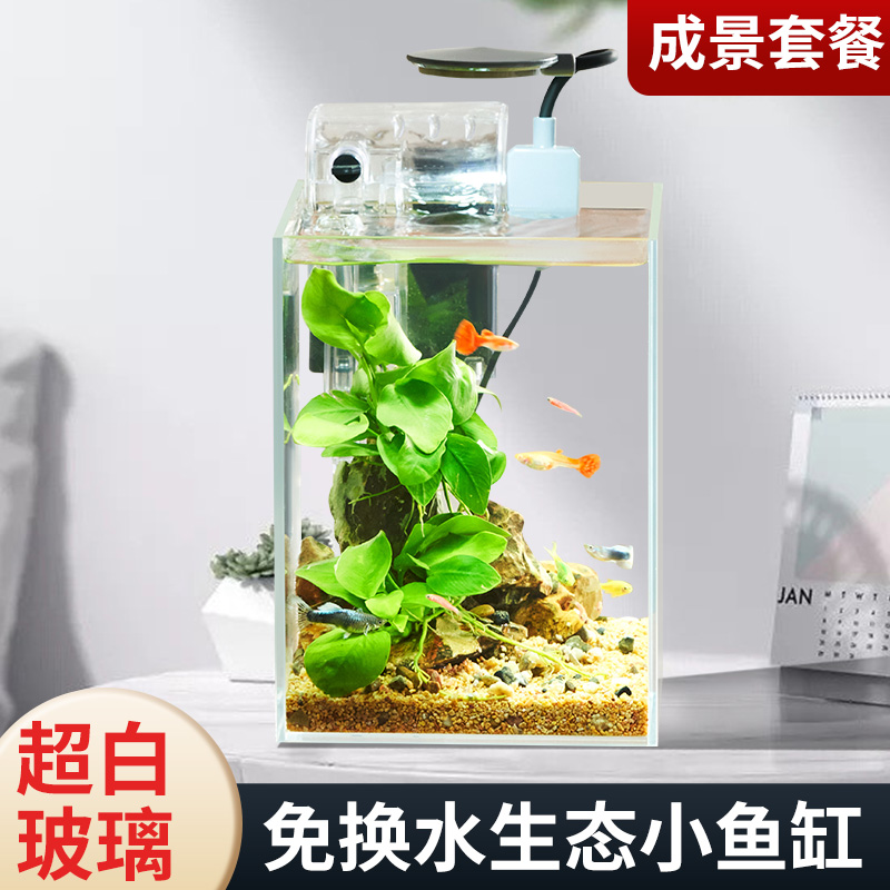 创意生态鱼c缸超白造景懒人微景观DIY室内客厅迷你生态瓶免换水