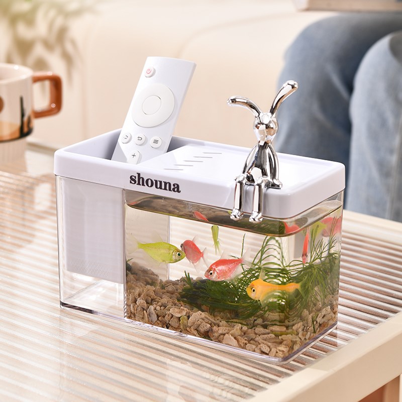 办公室微型鱼缸加厚小型生态缸桌面造景迷你水族diy水草水培箱