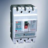 上海华通带剩余电流保护断路器 SM40L 250