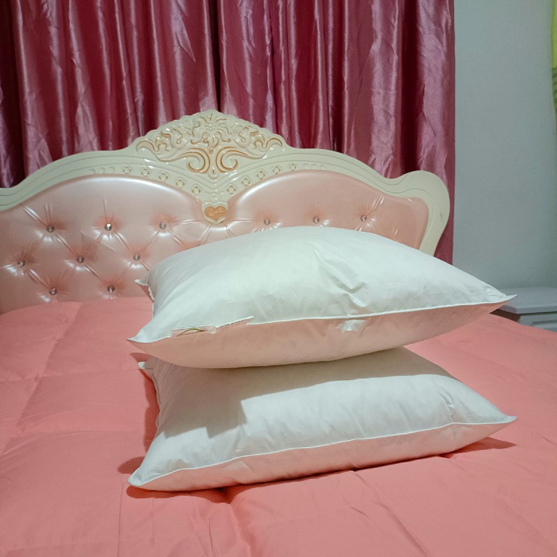 枕头枕芯厂家家用出口酒店民宿羽绒枕芯枕头抱枕芯靠垫白鸭绒