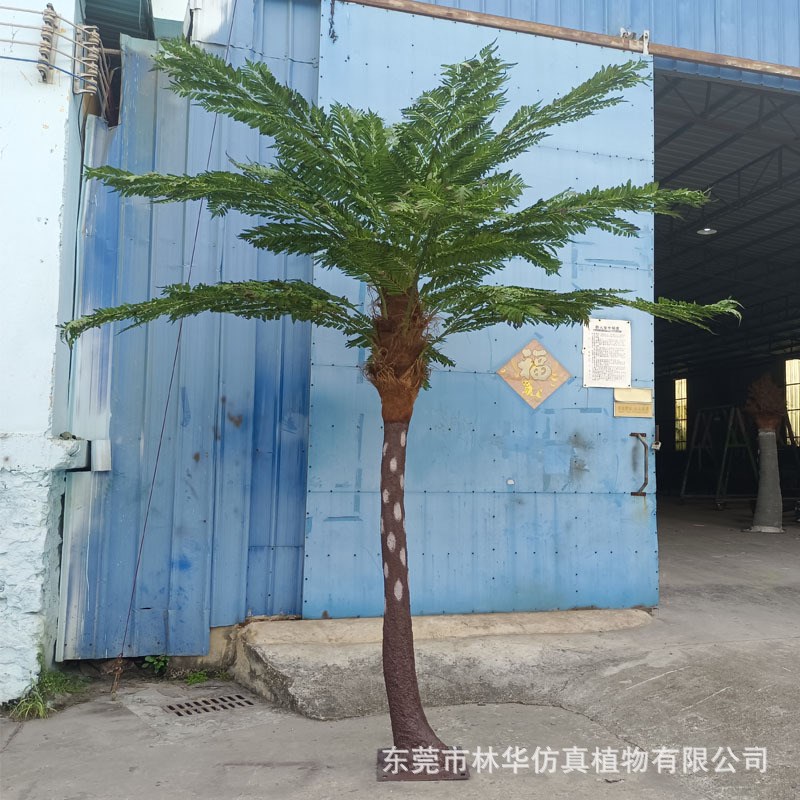 仿真桫椤树 玻璃钢沙罗树 仿真树 恐龙博物馆园林造景装饰