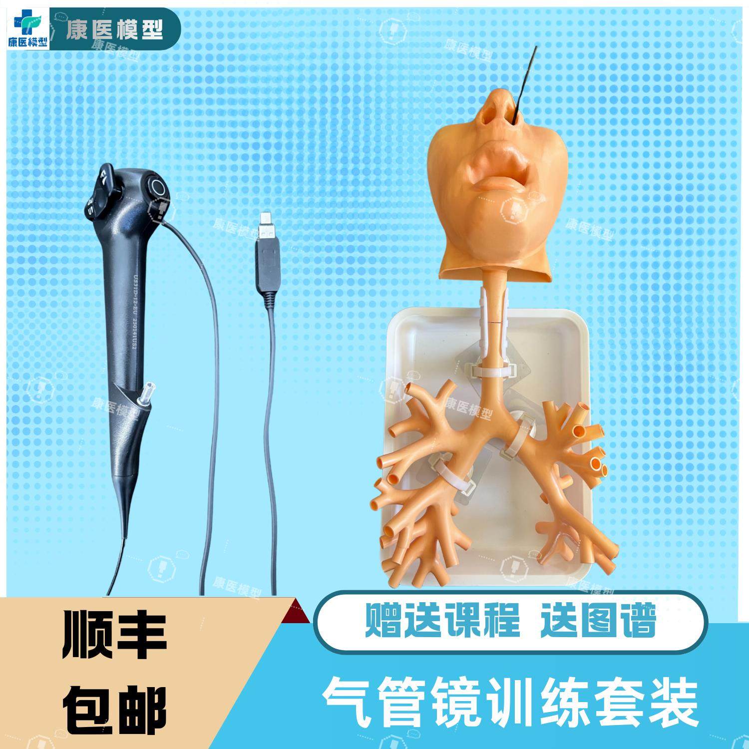 气管镜训练套装支模型树