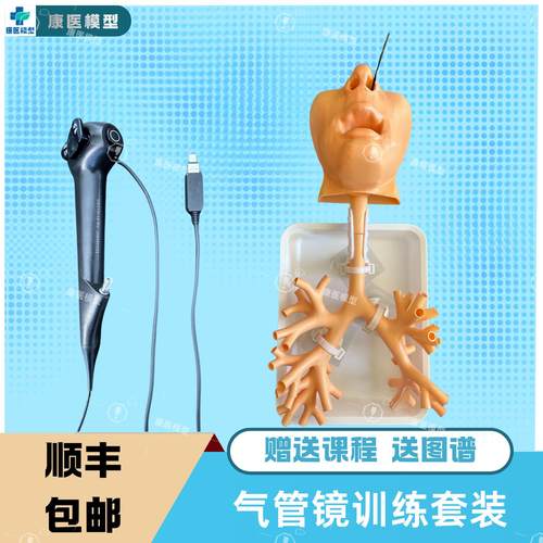 气管镜训练套装支模型树