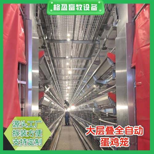 厂家热镀锌大层叠蛋鸡笼集蛋清粪一体全自动养殖设备肉鸡笼
