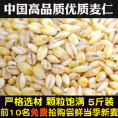 新麦仁米小麦仁去皮优质脱壳带胚芽煮粥饭五谷杂粮2025年中国新货