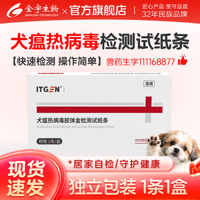 犬瘟试纸居家检测方便快捷
