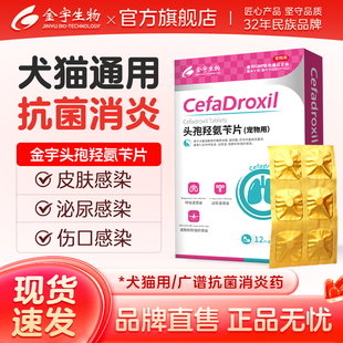 头孢羟氨苄片宠物消炎药狗狗猫咪感冒药打喷嚏流鼻涕宠物消炎药