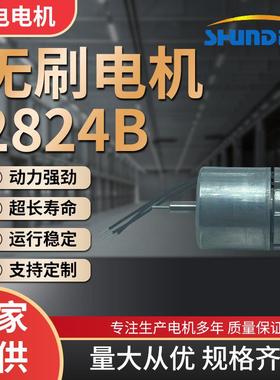 厂家无刷直流电机2824B美容按摩仪微型马达大扭矩减速直流电机