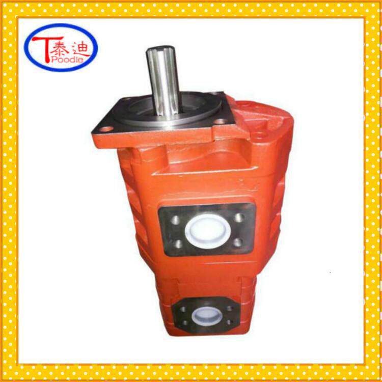 供应CBGj2080/1010B双联齿轮泵临工装载机双联泵3080900189