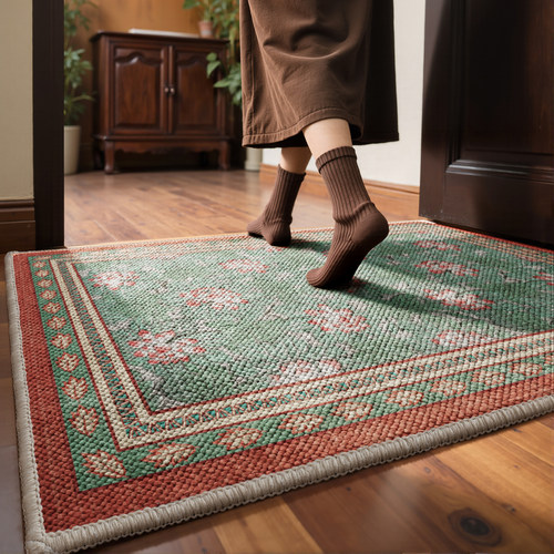 玄关进门防滑耐磨脚垫