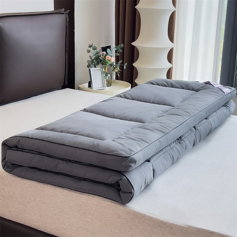 床垫软垫四季通用双面可用可水洗薄款榻榻米床垫铺底学生宿舍床垫