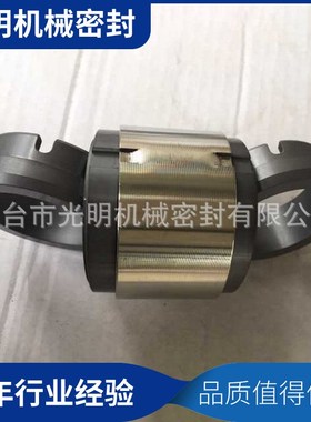 M74D机械密封H74uD机械密封 耐高温 双端面机械密封