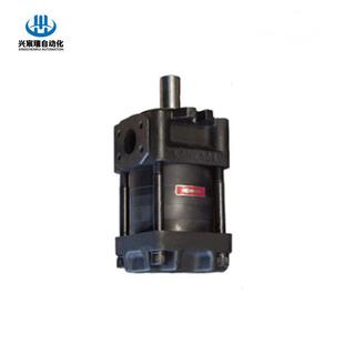 C63FNT4 内啮合齿轮油泵NB3 C50FNT3 G40FNT3 C80F G32FNB4