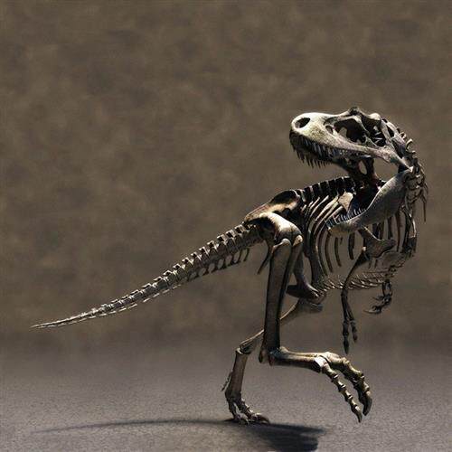 恐龙霸王龙化石骨骼玻璃钢静态博物馆橱窗美陈公园摆件厂家直销