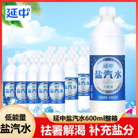 延中鹽汽水600ml*20瓶整箱批發(fā)