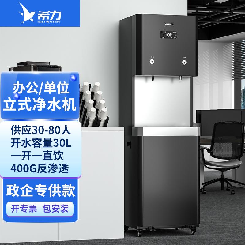 商用净水器立式净水机直饮机RO反渗透过滤学校单位XL-BX30