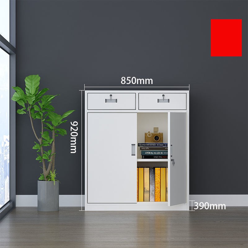 钢制办公铁皮文件柜资料档案柜凭证柜书柜带锁储物柜矮柜更衣柜子