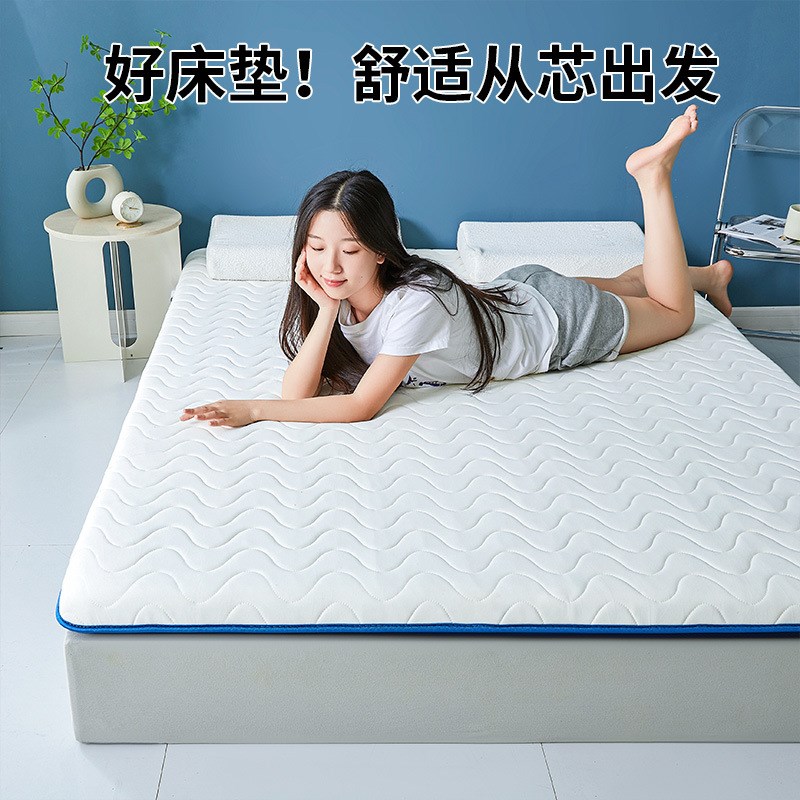 抗压床垫可回弹不塌陷硬质棉软垫家用榻榻米学生宿舍租房垫子