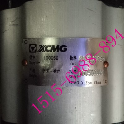 0CM0 徐州徐工30G21叉车齿轮油泵1016原装65080X9 批次500物料