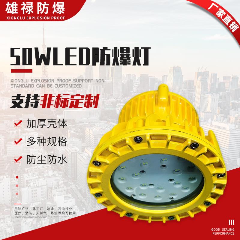规格齐全圆形泛光灯LED防爆灯50WLED防爆灯LED防爆照明应急灯