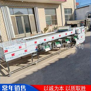 大型土豆筛选机 多功能砂糖橘分选机 多功能滚杠式千禧果分级机