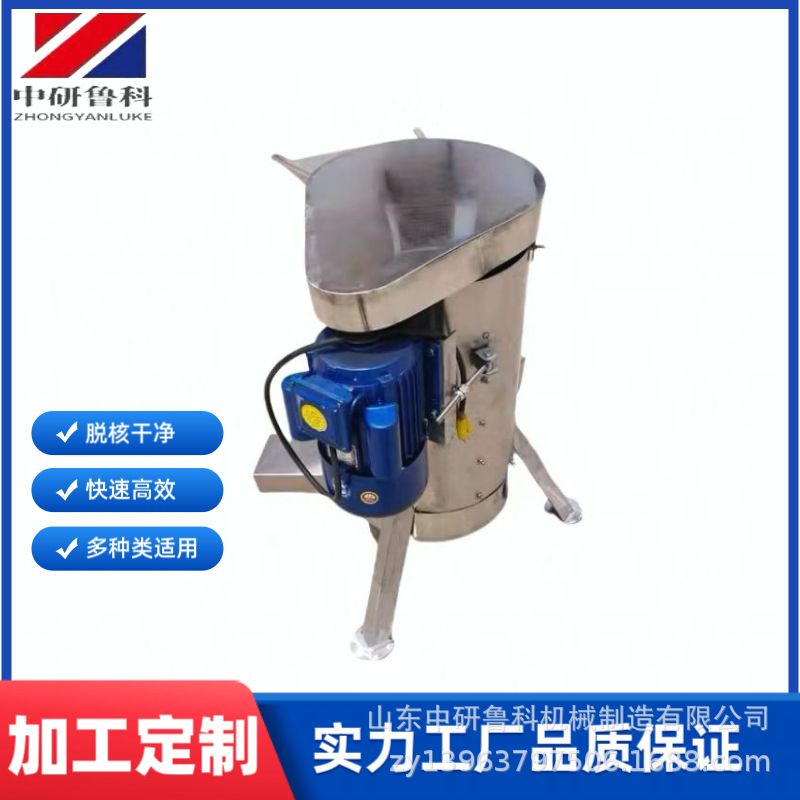 西梅波罗蜜去核机 荔枝骏枣大型脱核器 不锈钢商用水果去核打浆机