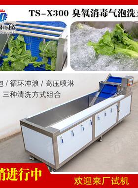 广东优质不锈钢洗果机 自动红枣清洗机 葡萄干清洗机 清洗机价格
